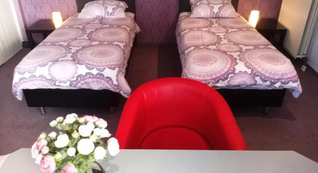 Двухместный номер Standard B&B Zevenkamp