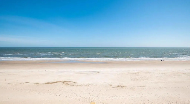 The Salty Dog by Oak Island Accommodations