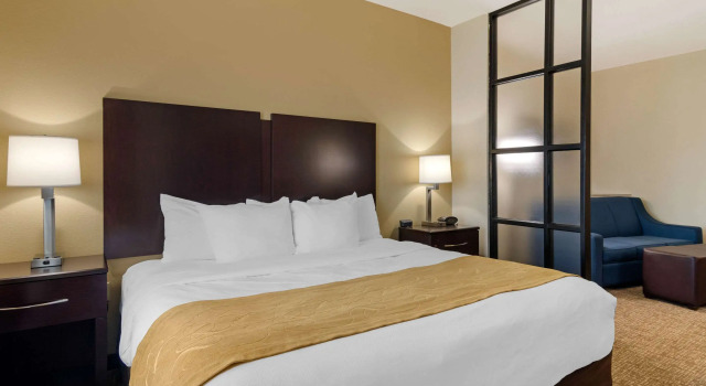 Двухместный люкс Comfort Suites Byron Warner Robins