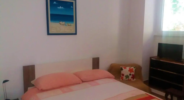 Apartment Hana
