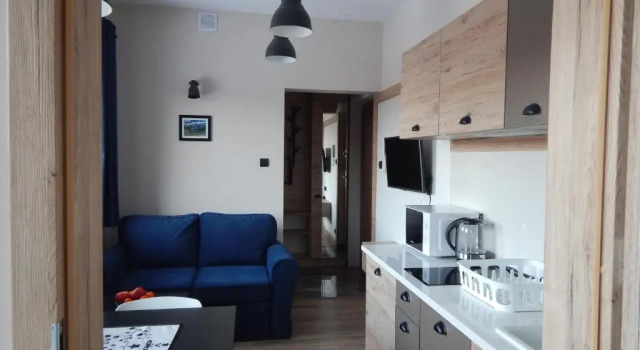 Апартаменты c 1 комнатой ApartamentyPodZakopanem.PL