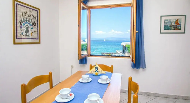 Apartment Renata