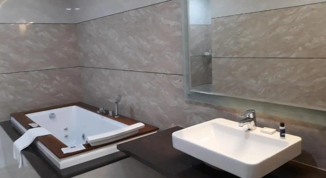 Люкс Regenta Central Indore