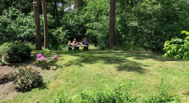 Коттедж Het Fazantenbosje