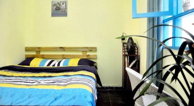 Dali 12 times international youth hostel