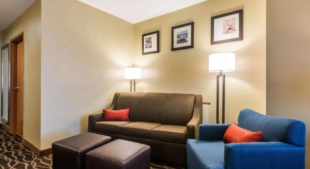 Номер Standard Comfort Suites Tampa Airport North