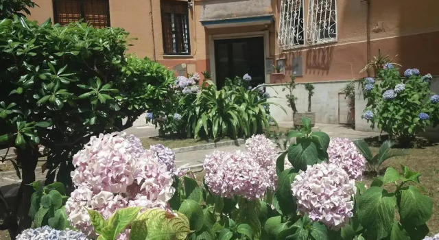 Edo House Monteverde, Prenota Hotel Roma Lazio