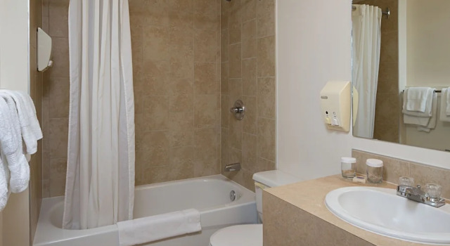 Четырёхместные апартаменты c 1 комнатой с балконом Rocky Mountain Ski Lodge