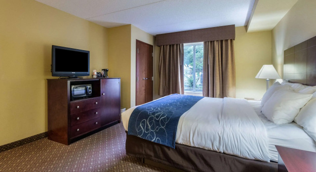 Двухместный люкс Comfort Suites Near Gettysburg Battlefield Visitor Center
