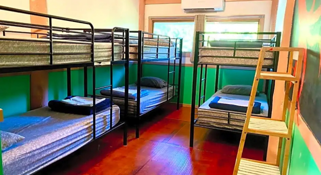 Кровать в общем номере Jackaroo Treehouse Rainforest Retreat