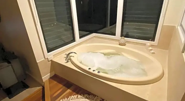 Люкс Kondalilla Eco Resort