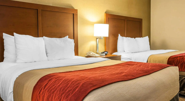Четырёхместный люкс Comfort Inn Pickerington - Columbus East