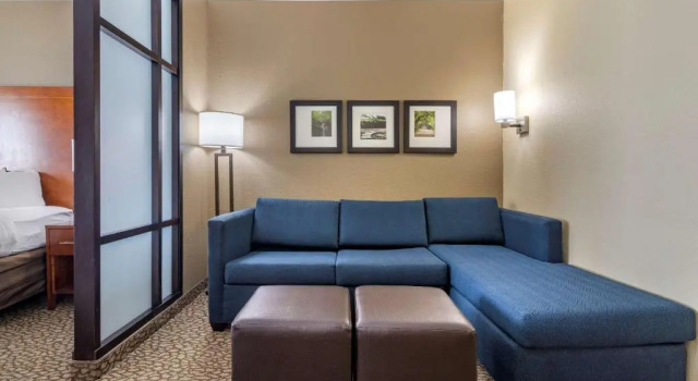 Люкс Comfort Suites Florence I-95