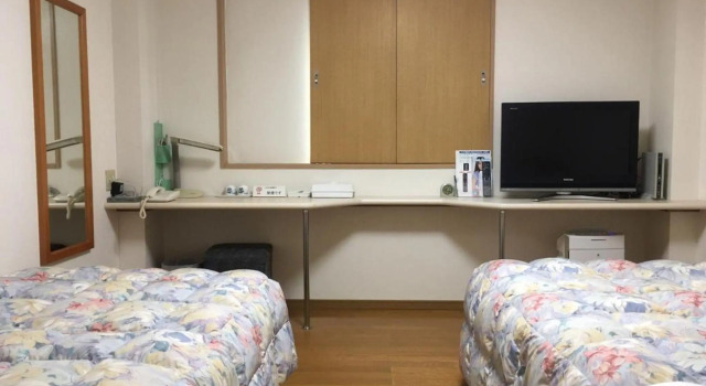 Двухместный номер Standard Hotel Tajimi Hills Myroom