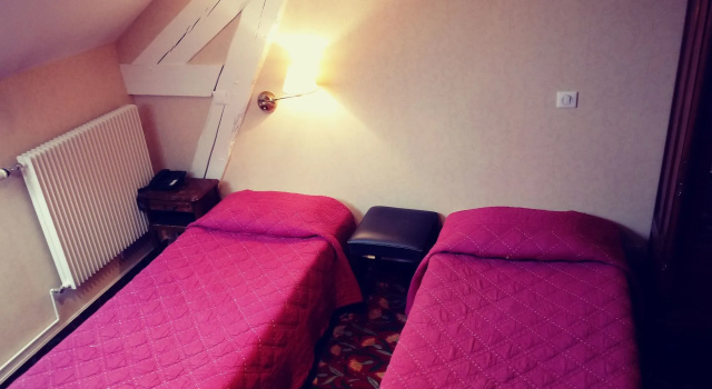 Hôtel La Villa Fleurie