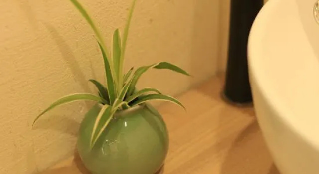 Seclusion B&B, Rezerwuj Bed and Breakfast Changzhou Jiangsu