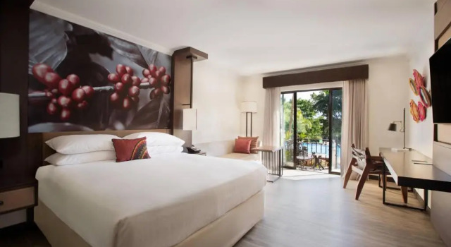 Двухместный номер Standard Цокольный этаж с видом на бассейн Costa Rica Marriott Hotel Hacienda Belen