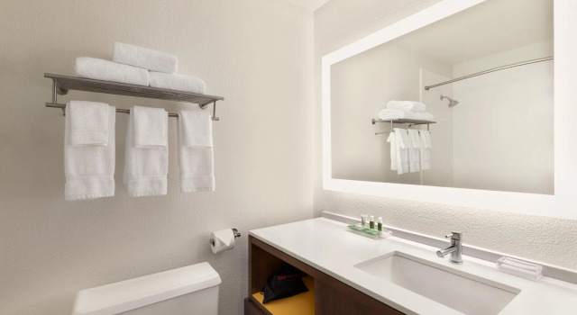 Двухместный номер Standard Holiday Inn Houston Intercontinental Airport by IHG