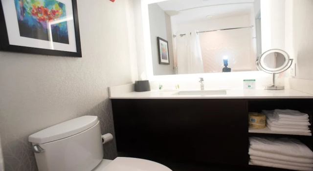 Двухместный номер Standard Holiday Inn Hotel & Suites - Joliet Southwest by IHG