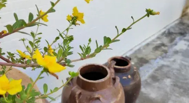Wanning Riyue Bay Yiye Xiangcun Vacation Apartment