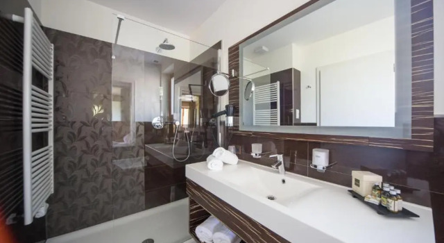 Полулюкс с балконом Mountain Spa Resort Albion