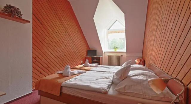 Standard Single quarto Hotel Skicentrum