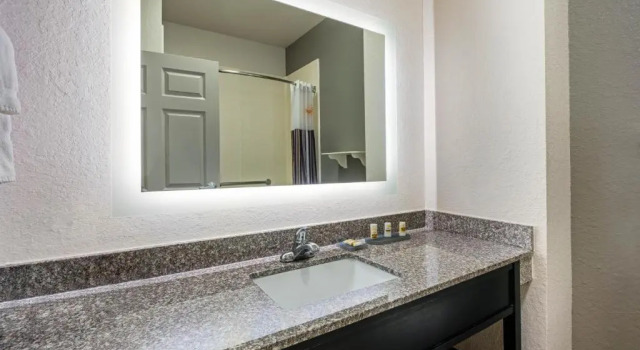 Номер Accessible Forest View La Quinta by Wyndham Conroe