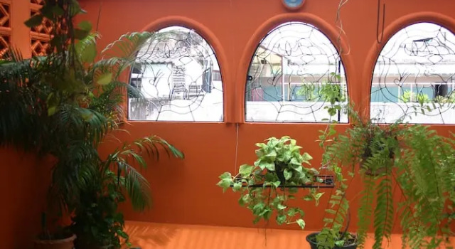 Номер Superior Born Free Hostel