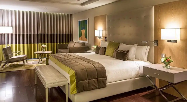 Двухместный номер Executive Palladio Hotel Buenos Aires - MGallery Collection
