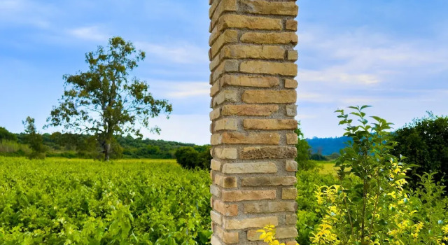Люкс Deluxe Atrium Vinea Brintziki Winery