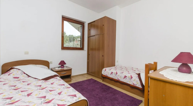 Apartments Davor