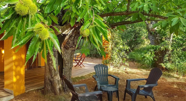 Коттедж Superior с видом на внутренний двор Finca la Viriñuela