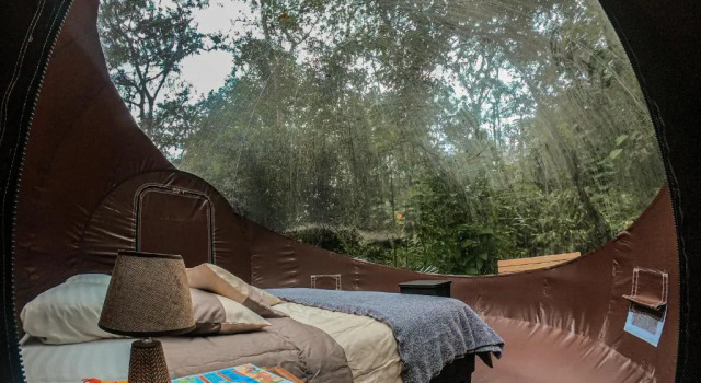Mindo GlamBird Glamping & Lodge
