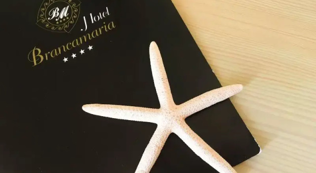 Двухместный номер Economy с балконом Hotel Brancamaria