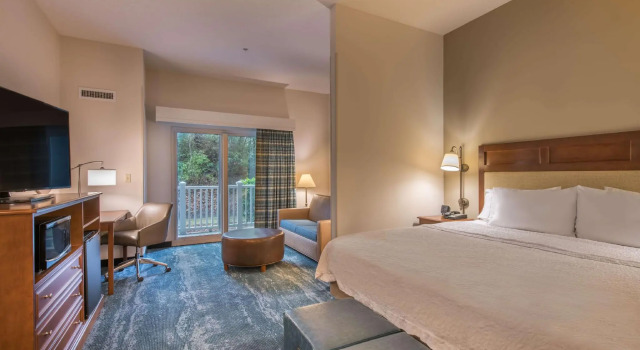 Двухместный люкс Hampton Inn & Suites Jekyll Island