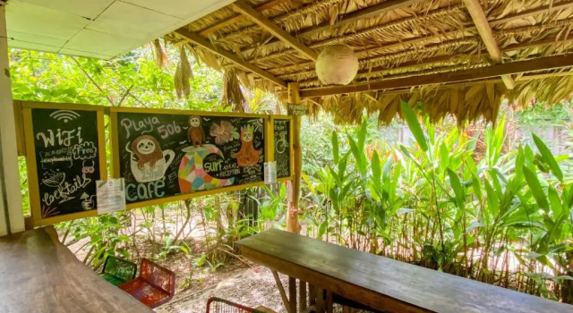 Łóżko w pokoju wieloosobowym (pokoju wieloosobowym żeńskim) Playa 506 Beachfront Hostel