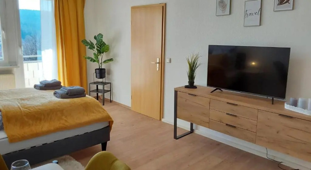 Komfortables Apartment in Bad Elster mit Netflix