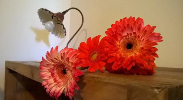 Номер Standard Agriturismo Rossococomero