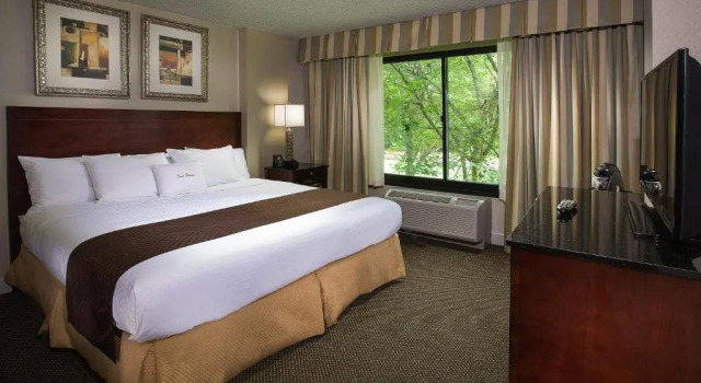 Номер Patio Standard DoubleTree by Hilton Charlotte Airport