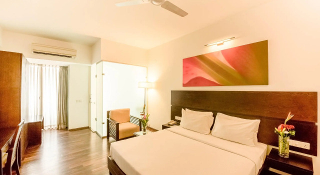 Номер Standard SRS Springs Hotels and Spa