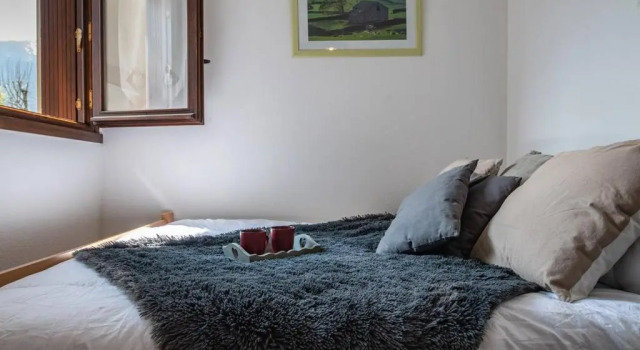 Appartement Saint-Lary-Soulan, 2 pièces, 4 personnes - FR-1-296-206