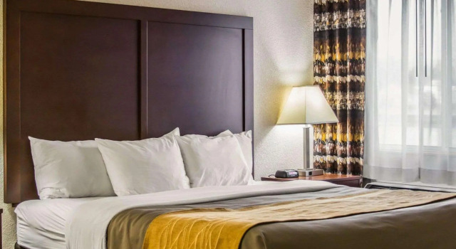 Двухместный номер Standard Comfort Inn Birch Run - Frankenmuth
