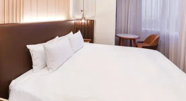 Люкс Hotel Springs Makuhari Premier