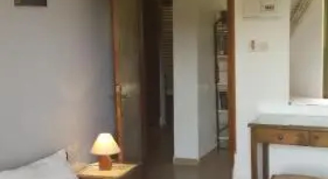 Leonidas
