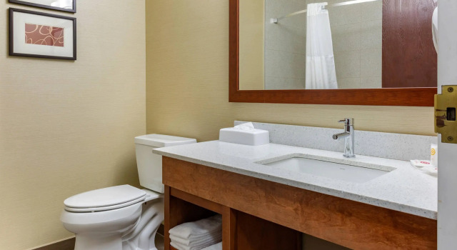 Четырёхместный люкс Comfort Suites Dover University Area