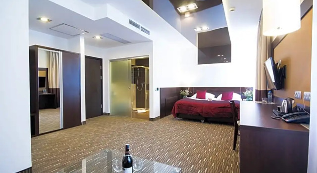 Номер Business Park Hotel Diament Zabrze - Gliwice