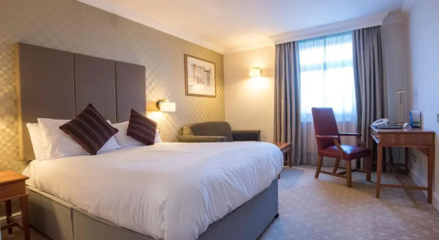 Номер Executive Apollo Hotel