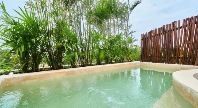 Апартаменты Deluxe с 2 комнатами с видом на бассейн Luxury Penthouse in Aldea Zama, private pool and rooftop, 24 7 security in a gated community