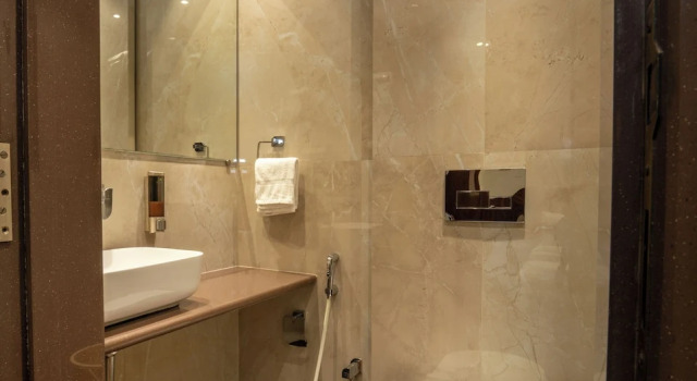 Двухместный номер Deluxe Hotel Kalpana Palace, Mumbai