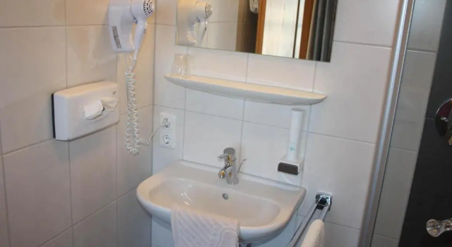 Номер Standard Hotel zur Rose